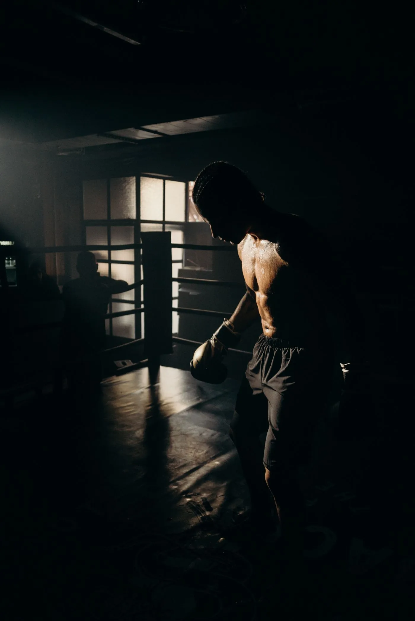 Boxer training in dramatic side light